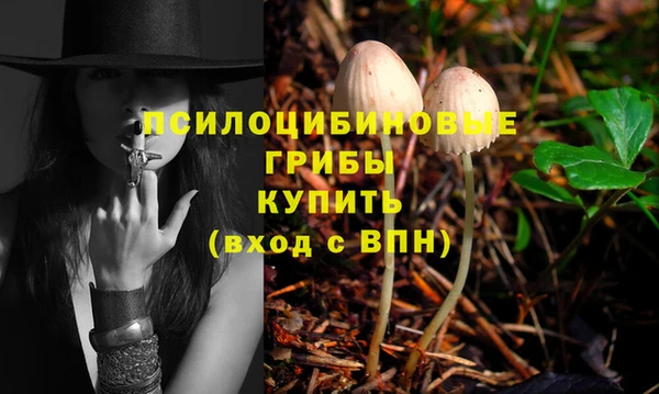 ПСИЛОЦИБИНОВЫЕ ГРИБЫ Козельск